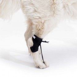 Ortocanis - Lépés korrigáló kutyáknak