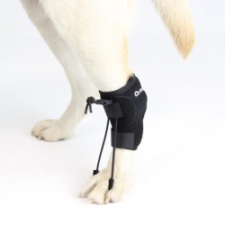 Ortocanis - Lépés korrigáló kutyáknak