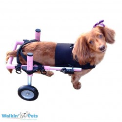 Walkinpets -  neoprén mellső hám kutyakocsihoz
