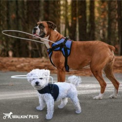Walkinpets - Keret látássérült kutyáknak
